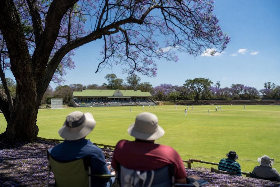 A cricket ground in Harare with jacaranda trees and a modest pavilion, a small crowd, a bright blue sky, a tour match in progress far away. (AI-generated image)