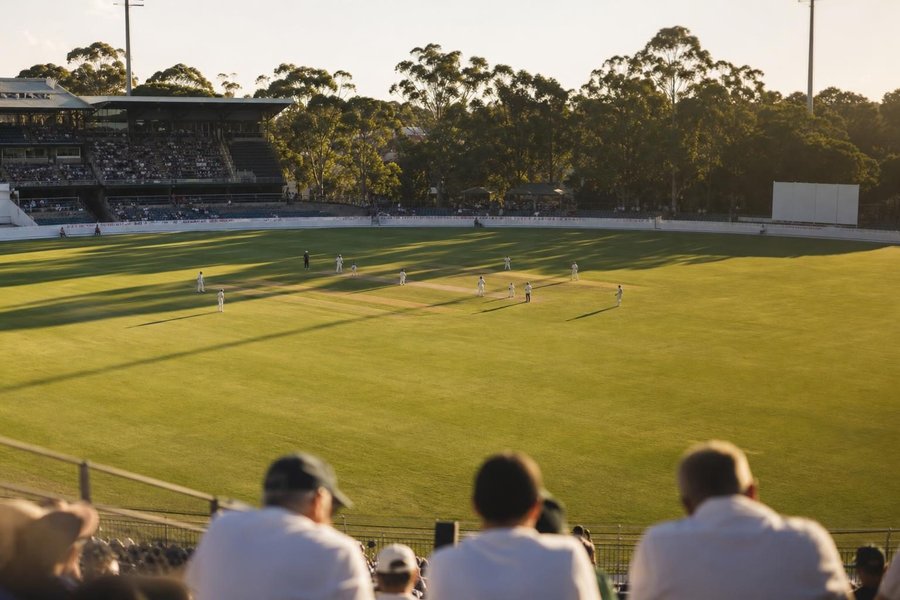 A large oval cricket stadium on a hot afternoon, sun-baked green outfield, gum trees and tall stands beyond the boundary, long shadows. (AI-generated image)