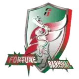 BPL Fortune Barishal Cricket team flag