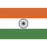 Men India cricket team flag