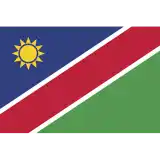 Men Namibia cricket team flag