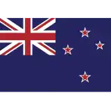 Men New Zealand cricket team flag