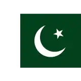 Men Pakistan cricket team flag