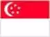 Men Singapore cricket team flag