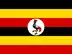 Men Uganda cricket team flag