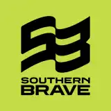 The Hundred Men Southern Brave Cricket team flag