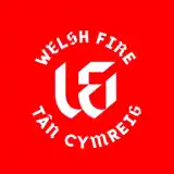 The Hundred Men Welsh Fire Cricket team flag