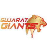 WPL Women Gujarat Giant Cricket team flag